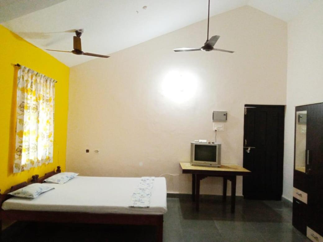 Studio with Terrace,1075205296:JPEG