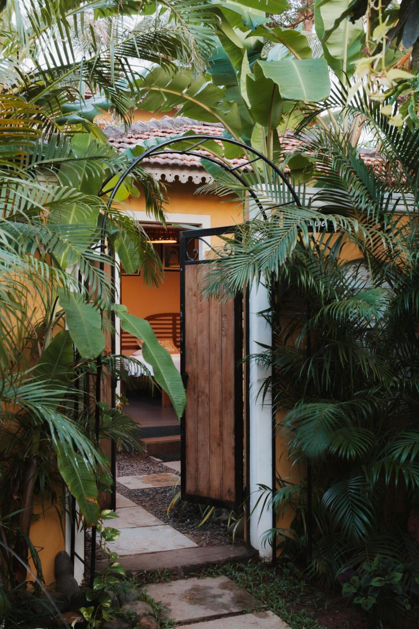 Premium Suite,1518532165:JPEG