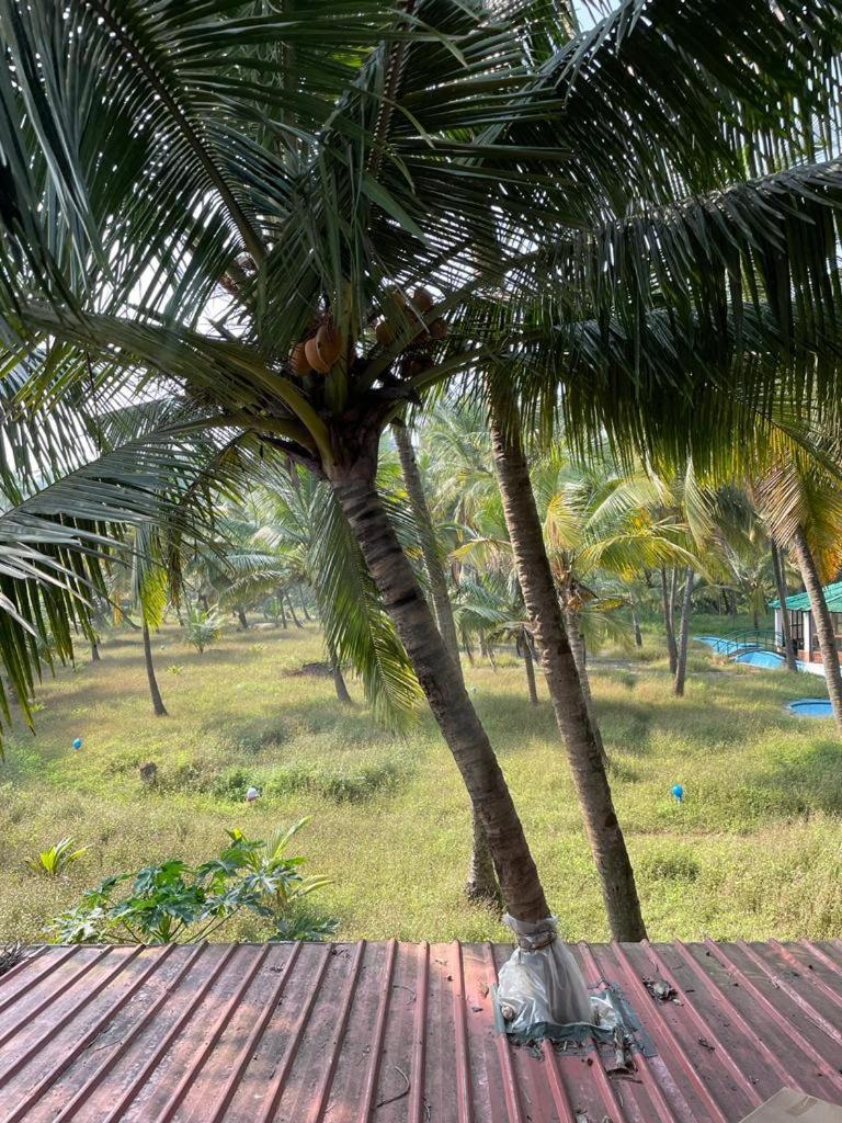 Double or Twin Room with Restricted Side Sea View