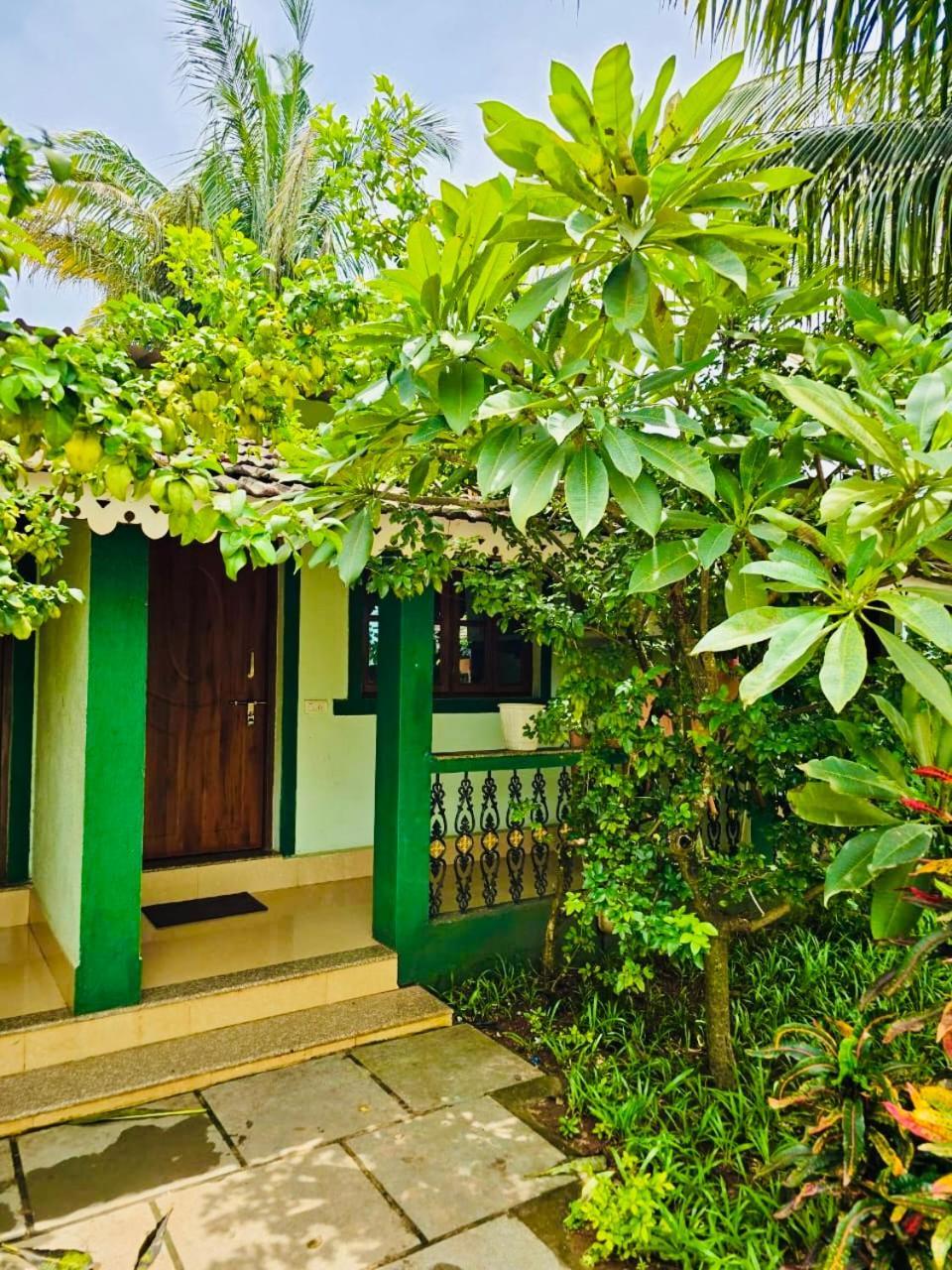 King Room with Garden View