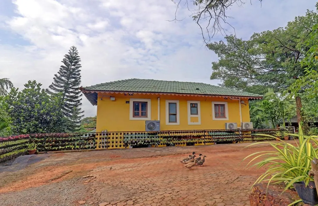 Itsy Hotels Vailankanni Natures Inn-1