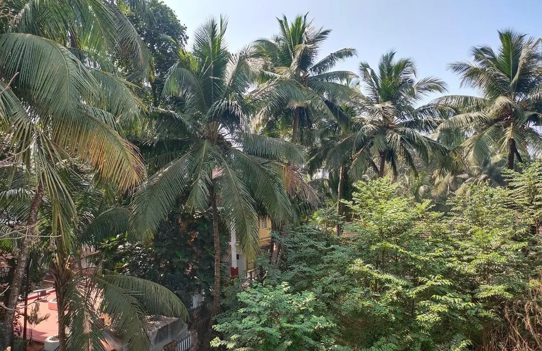Om Baga Residency-1