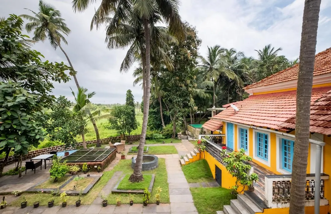 Rosastays South Goa-1