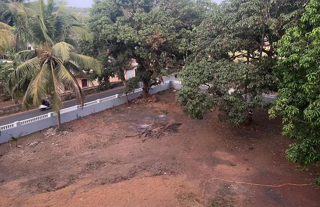 Calangute Avenue-1