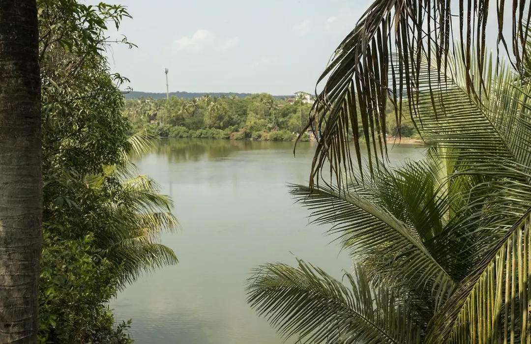 Marcelo Holiday Home Goa-1