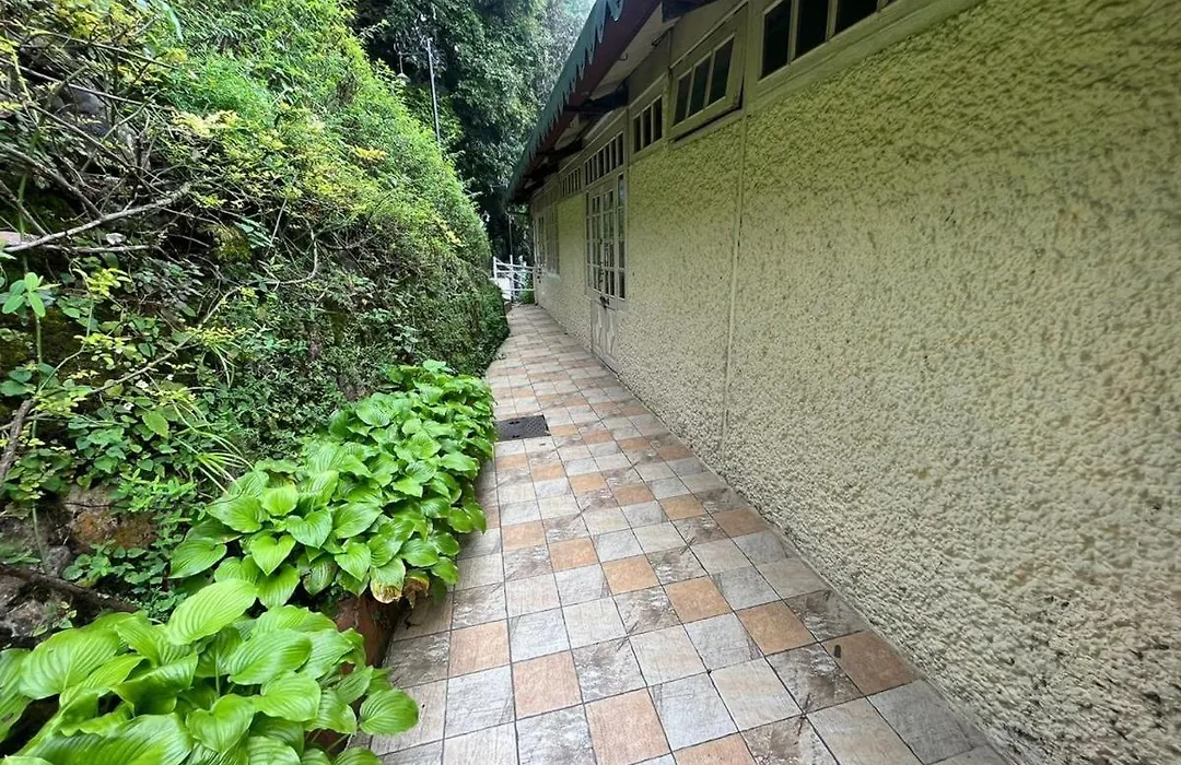 Bluenest Guest House-1
