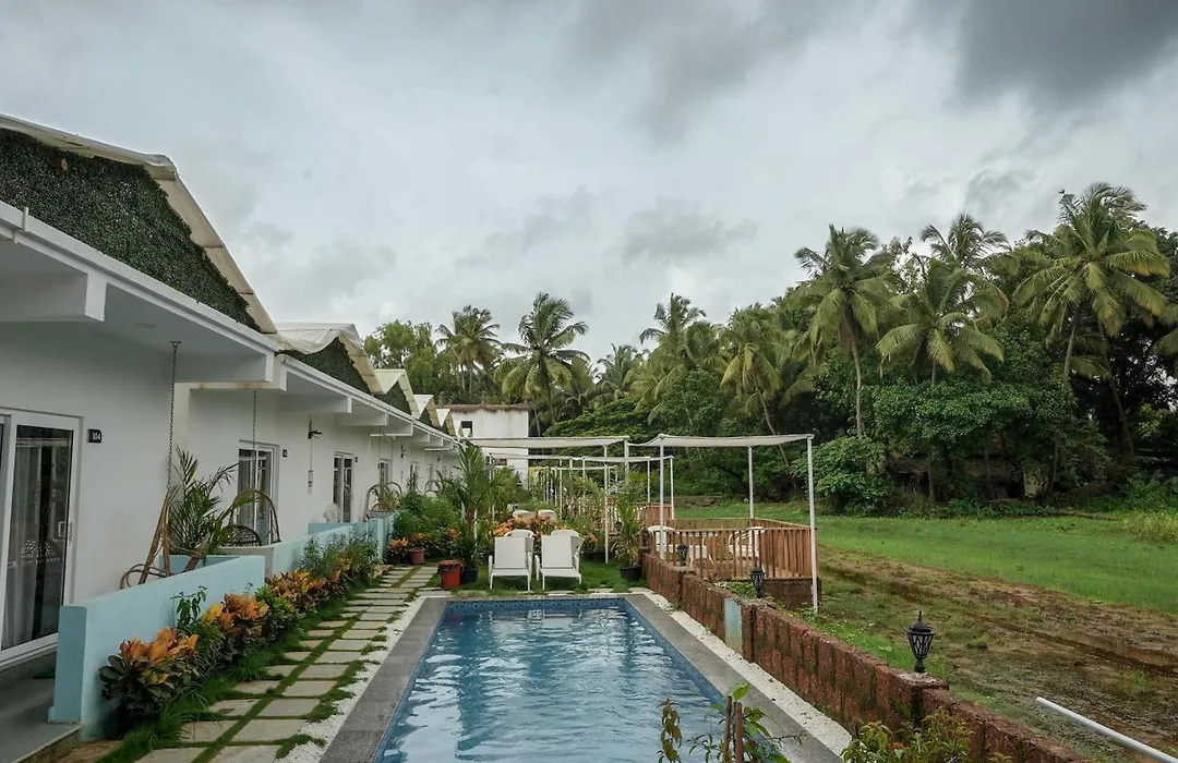 Whiteflower Resort Morjim-1