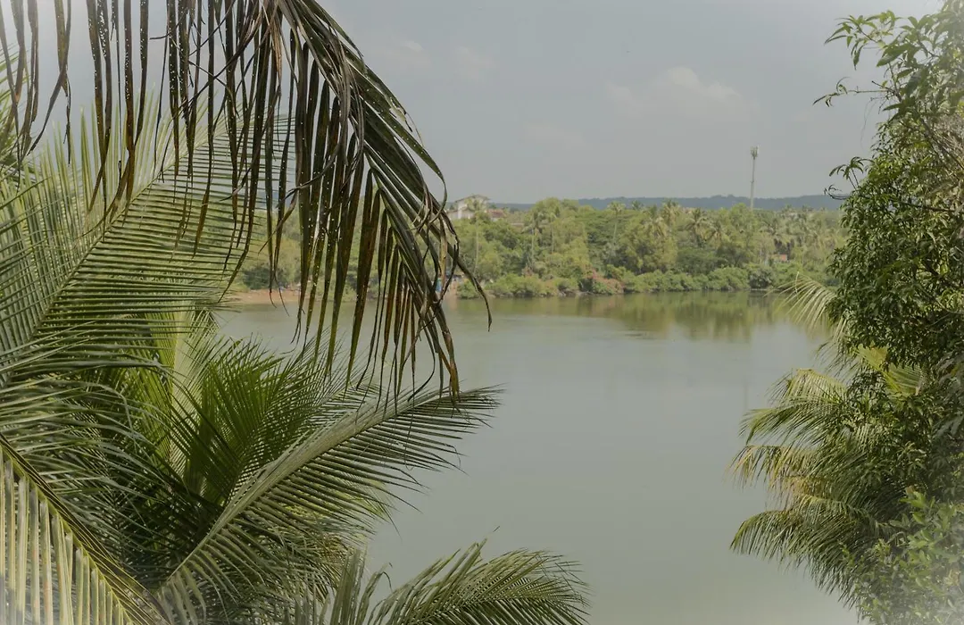 Marcel0 River View Villa Baga Goa-1