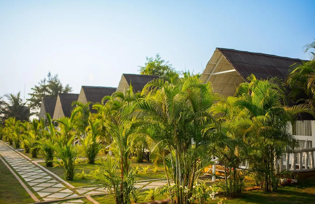 Royal Agonda-1