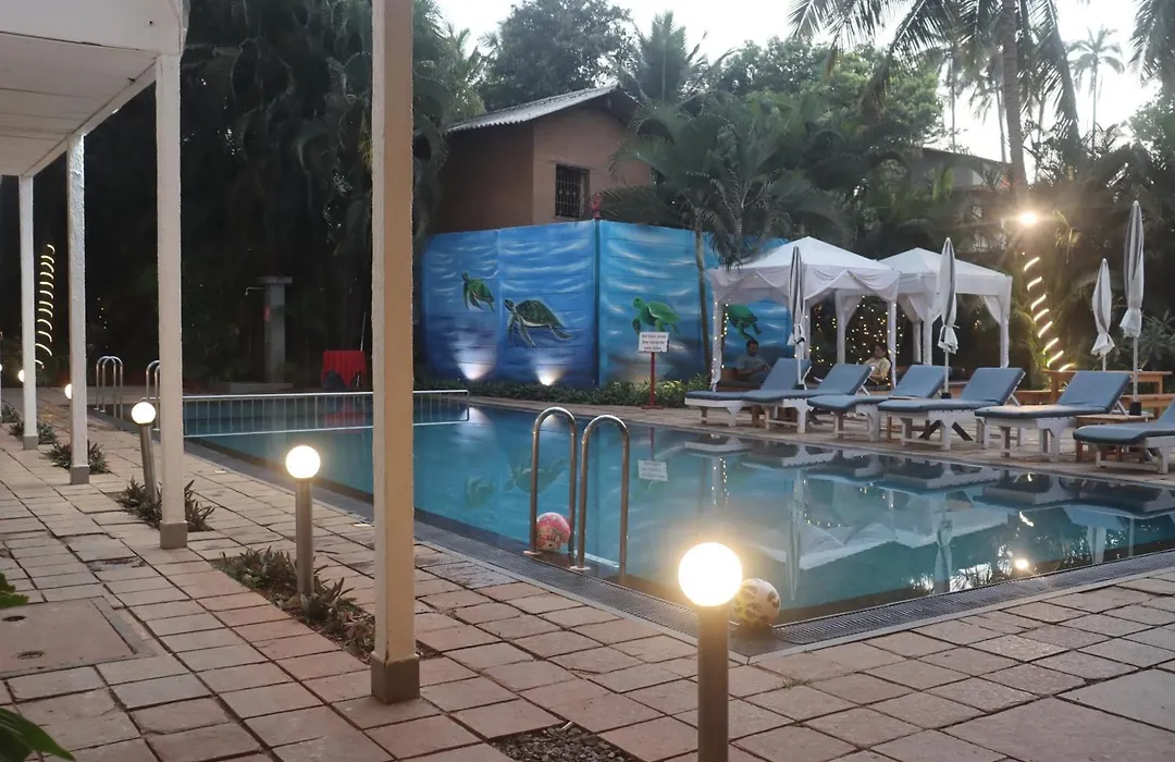 Turtle Beach Resort - Morjim-1