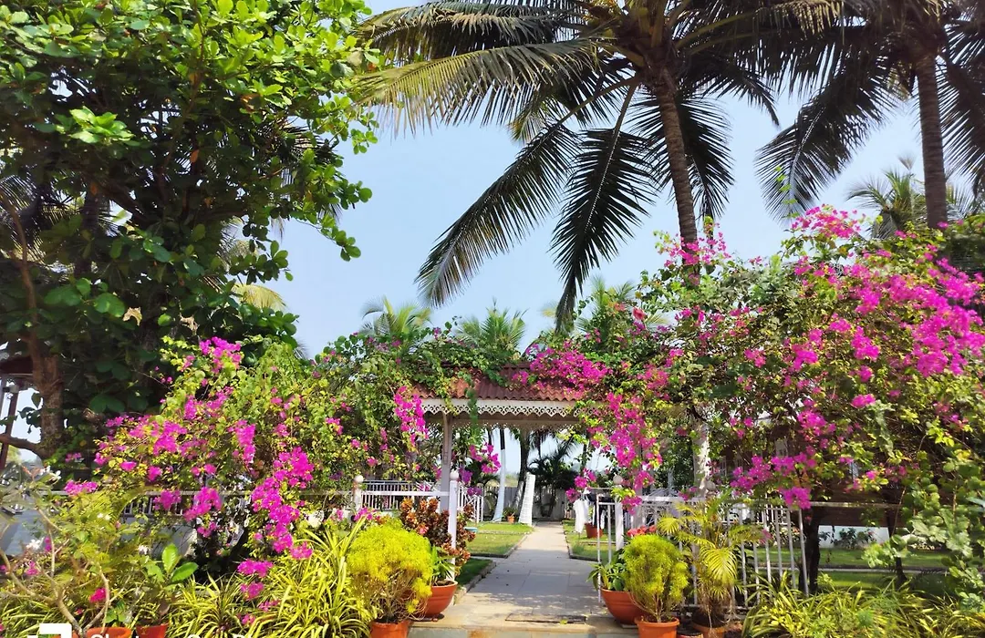 Anthy'S Guesthouse And Restaurant-1