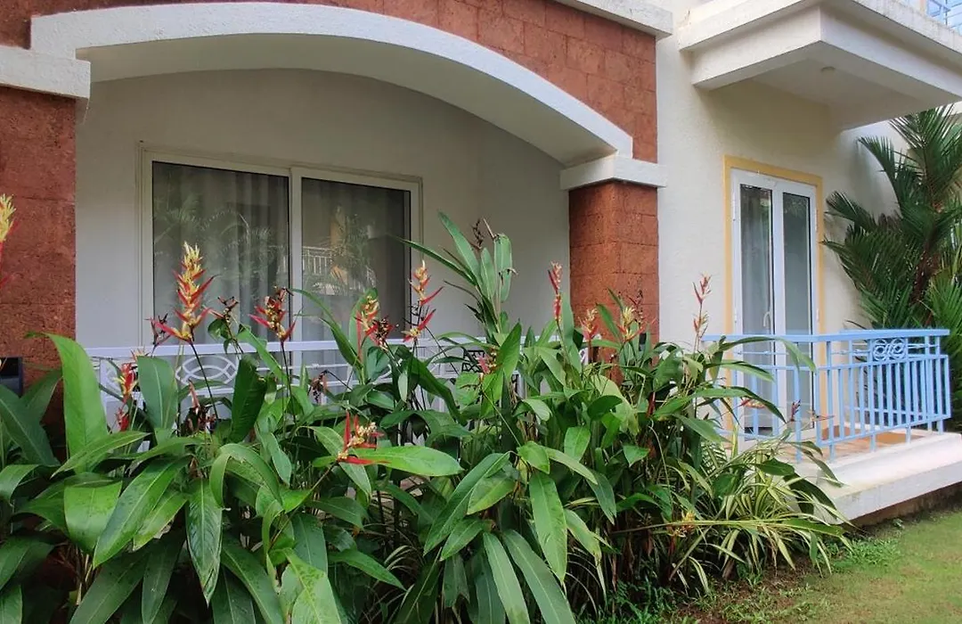 Passions De Goa-1