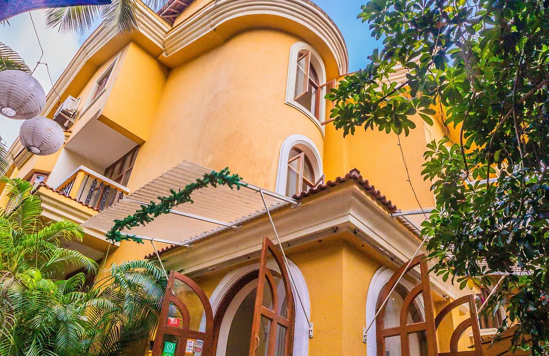 Bougainvillea Guest House-1