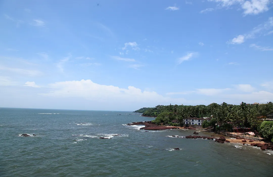 The Hawaii Comforts Panjim Donapaula-1