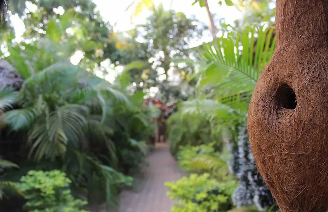 The Palm Trees Resort-1