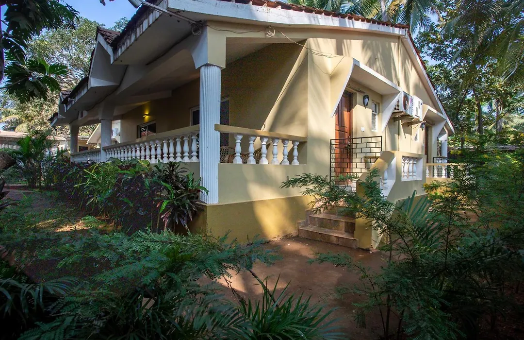 Hill Top Goa Lodge-1