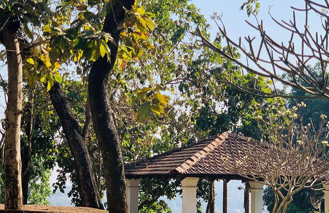 The Postcard Ayurveda Retreat, Old Goa, A Sitaram Ayurveda Experience-1