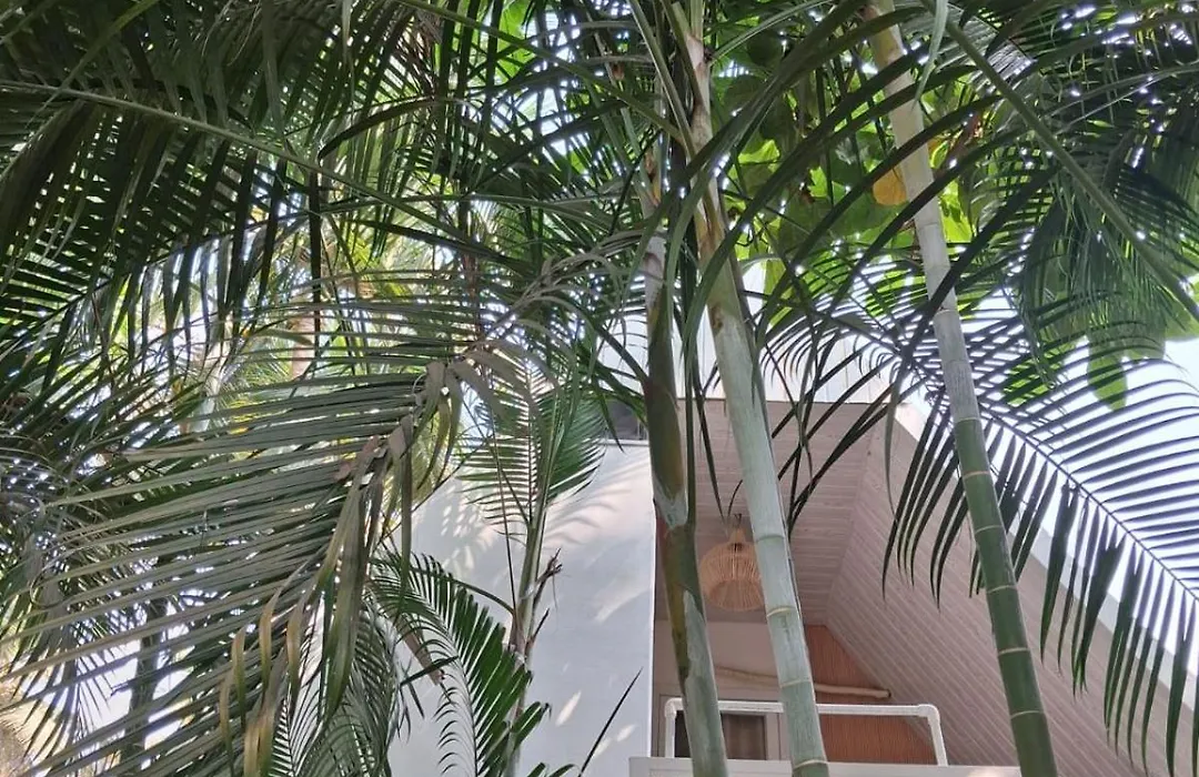 Sea Shades Cottages With Private Jacuzzi-1