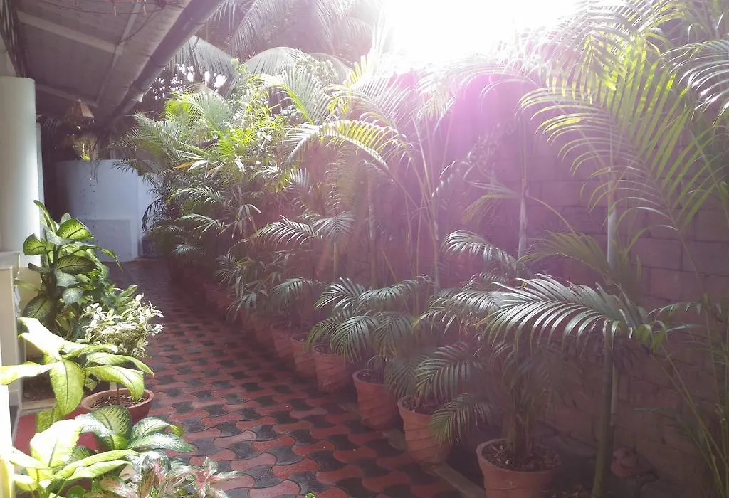 Alba Rooms Palolem Rosebuds-1