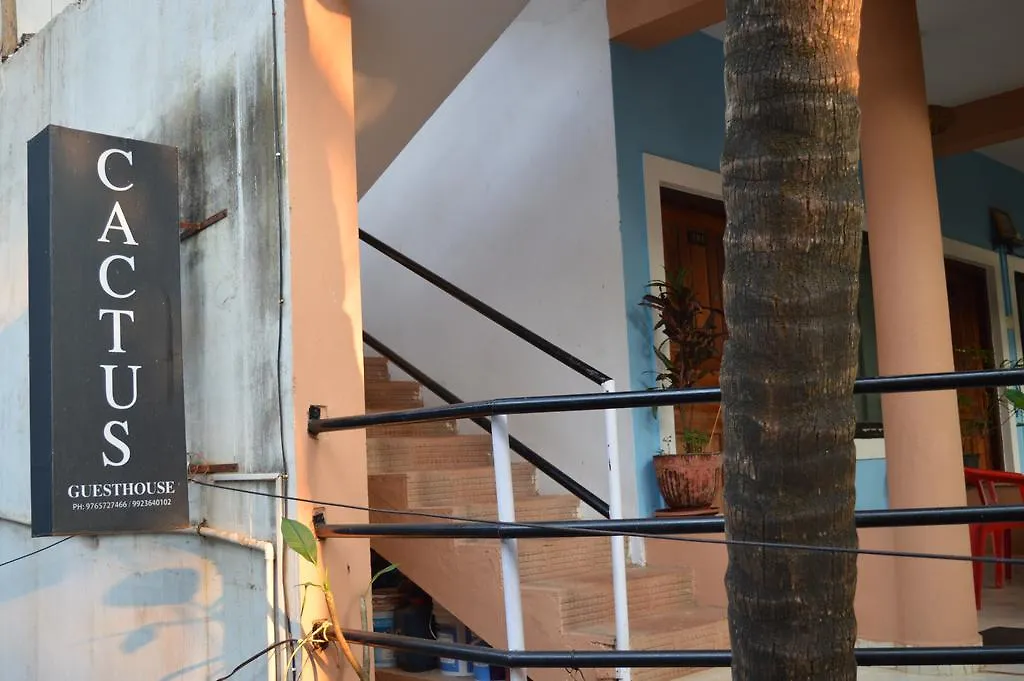 Cactus Guesthouse-1
