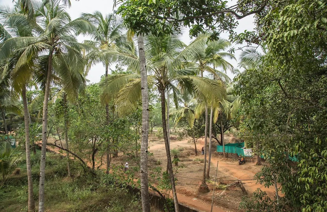 Hotel Arambol Arbour-1