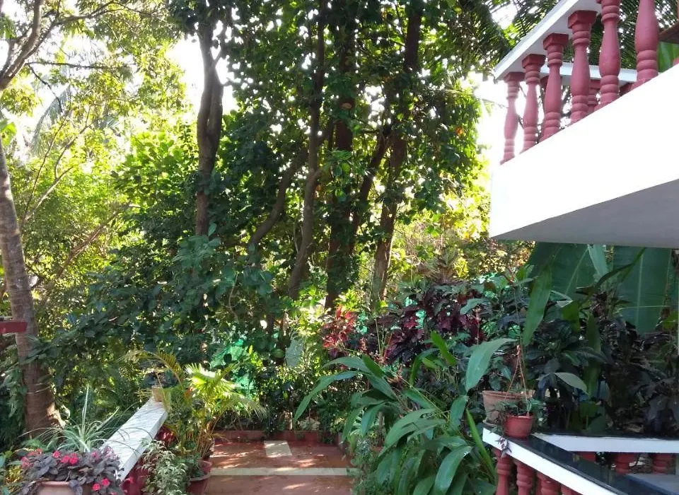 Casa De Olga-1