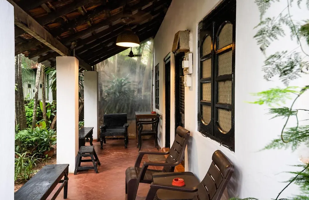 Rodrigues Guest House-1