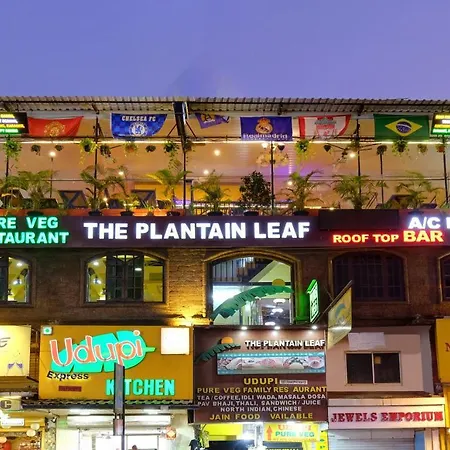 Itsy By Treebo - Plantain Leaf-2