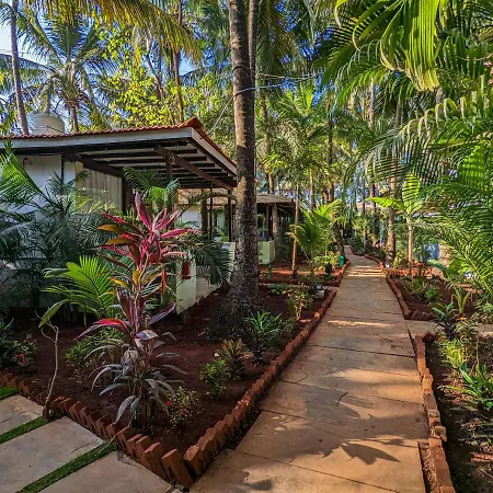De Soul Sante Beach Resort Morjim Goa-2