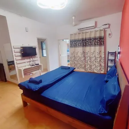 Cozy Baga- One-2