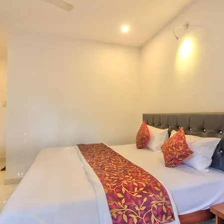 Amazing 2Bhk Apartment Near Baga Beach-2