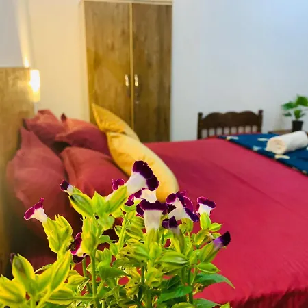 My Riviera Beach Resort-2
