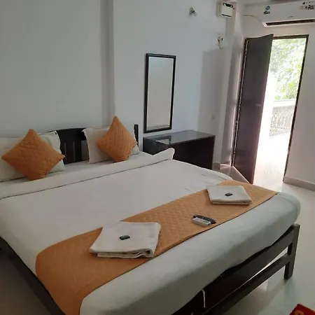 Goadivine Baga-3
