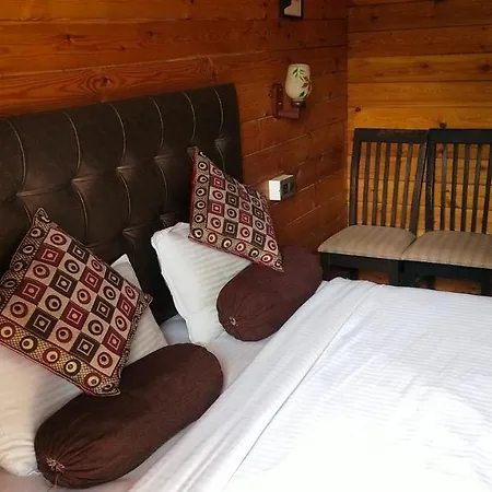 Greenland Cottage'S-3