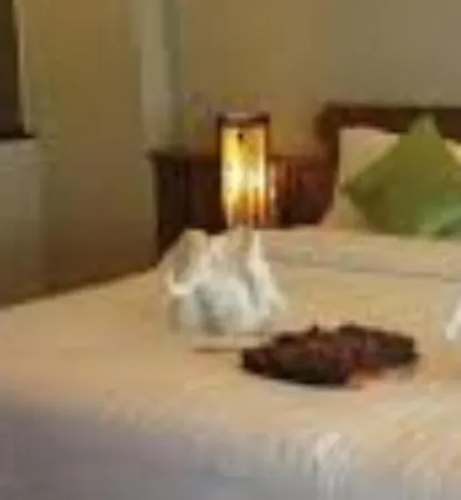 The First Hotel-2