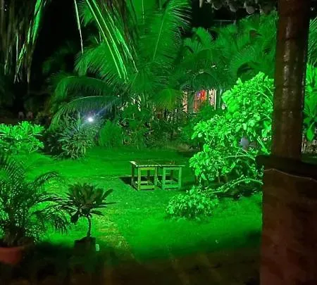 Golden Pearl Guest House Baga-3