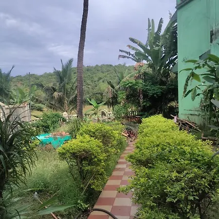 Mountain View Resort Goa-3