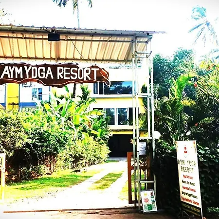 Aym Yoga Resort Arambol Goa-3