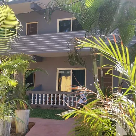 Cocks Town-3