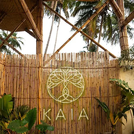 Kaia Oceanfront Goa-3