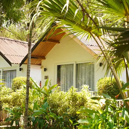White Wood Resort By Stone Wood Hotels-2