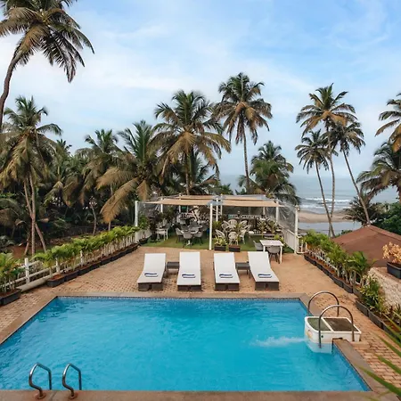 Stone Wood Beach Resort- A Party Hotel-3