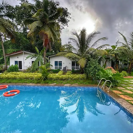 White Truffle Resort, Arambol-3