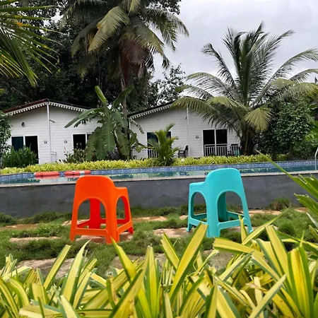 White Truffle Resort, Arambol-2