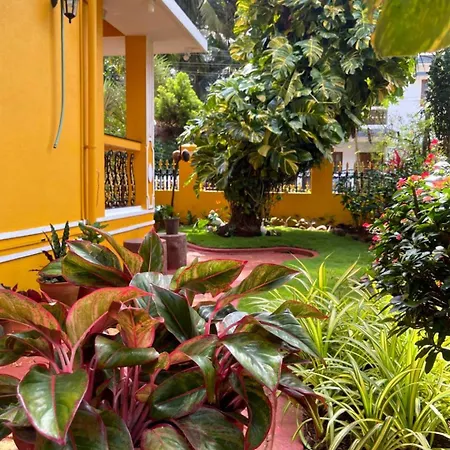Minria Guest House-2