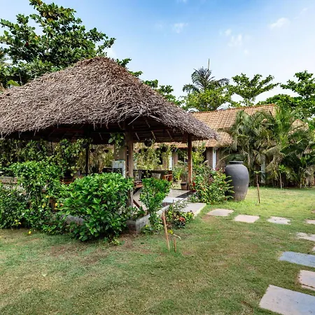 Akasa Goa-3