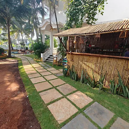Sols Backyard-2
