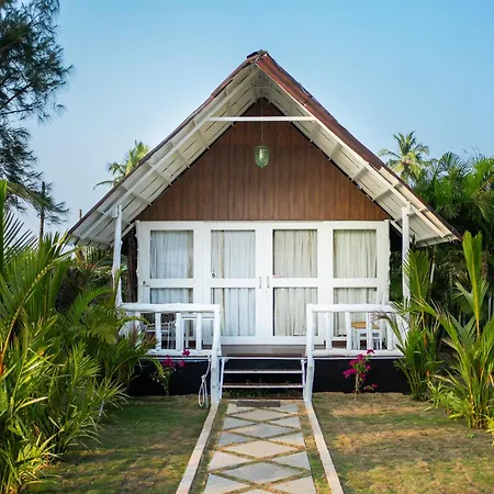 Royal Agonda-2