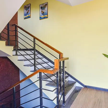 Jingle Tree Resort In Arambol-3