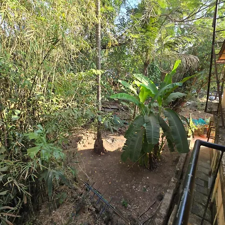 Georgedale Guest House-2